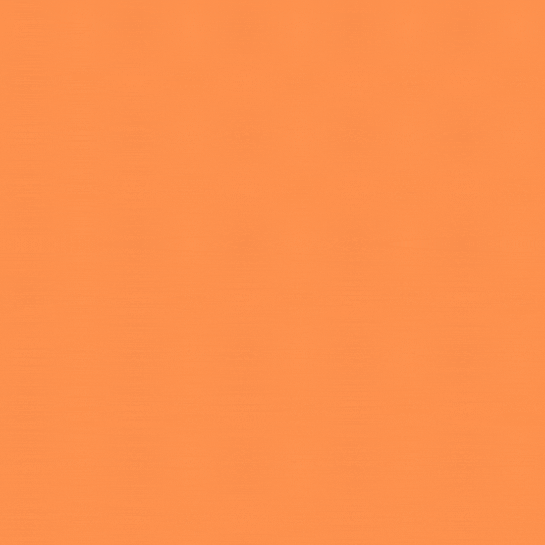 2026-0106 – programme animations